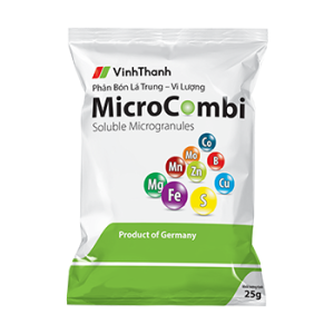 vinh-thanh-microcombi