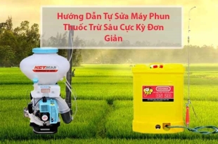 huong-dan-su-dung-may-phun-thuoc-tru-sau-hieu-qua-va-an-toan-cho-nha-vuon